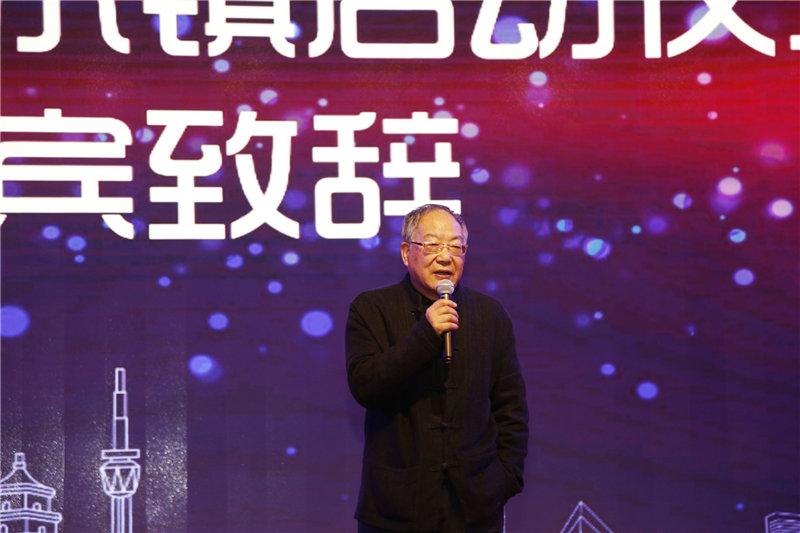 絲路文化小鎮(zhèn)項(xiàng)目啟動儀式 (8)